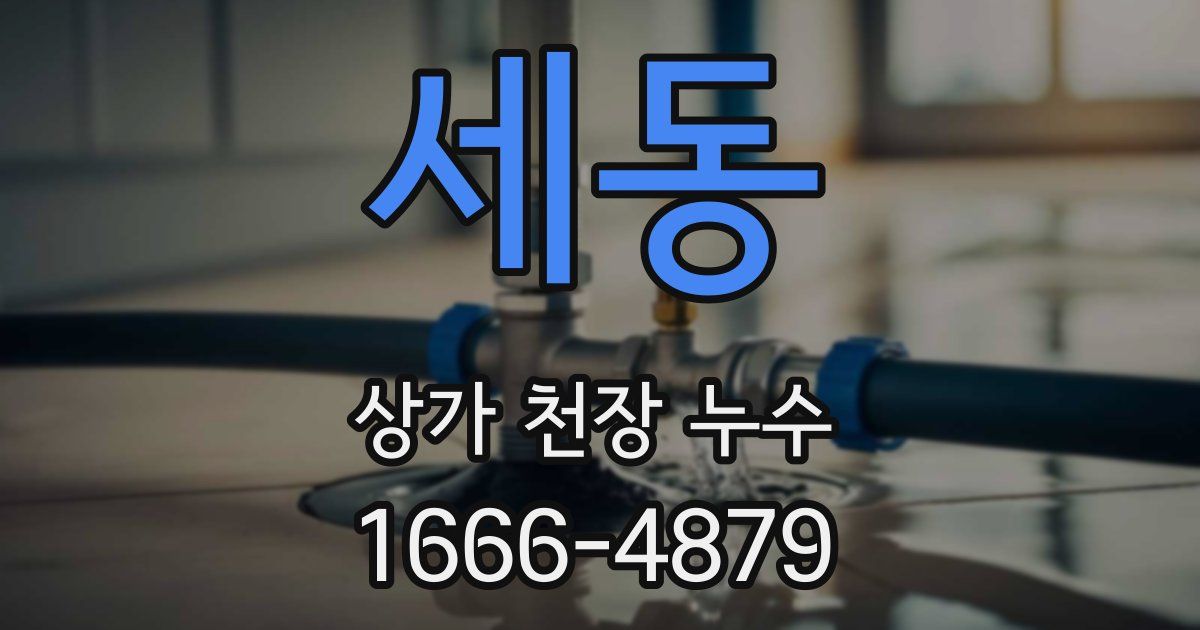 세동 상가 천장 누수