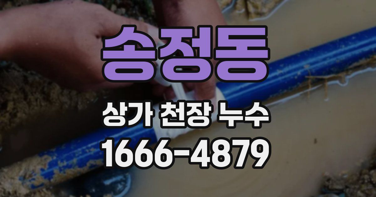 송정동 상가 천장 누수