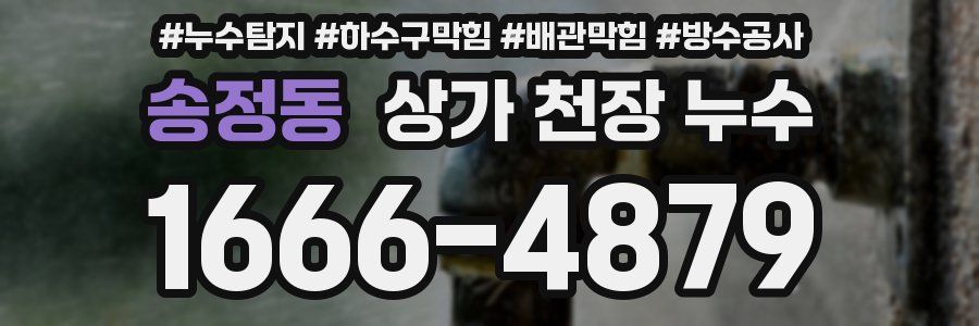 송정동 상가 천장 누수