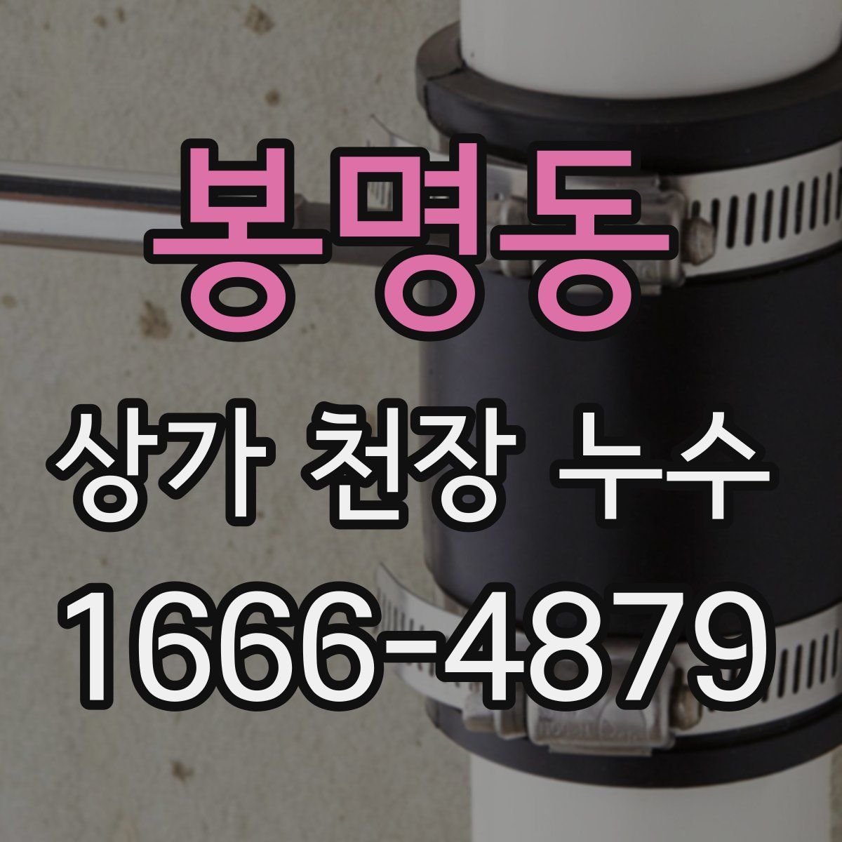 봉명동 상가 천장 누수