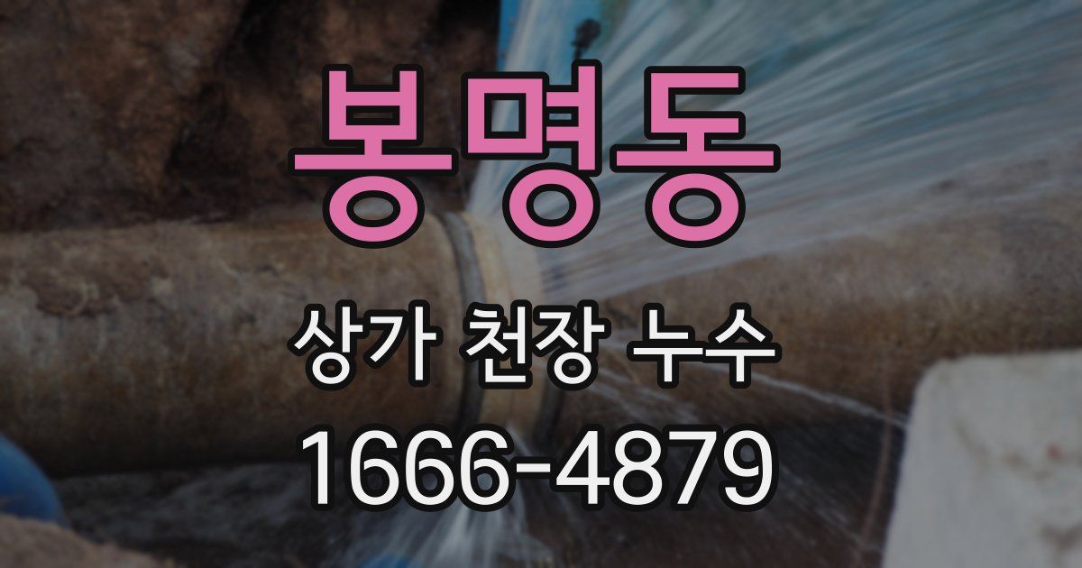 봉명동 상가 천장 누수