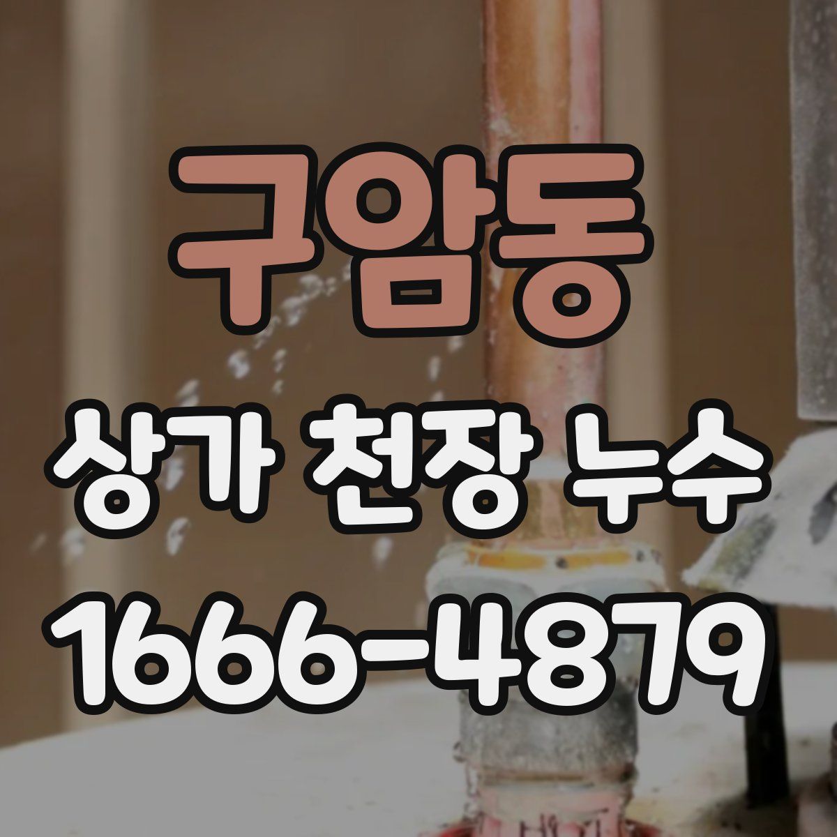 구암동 상가 천장 누수