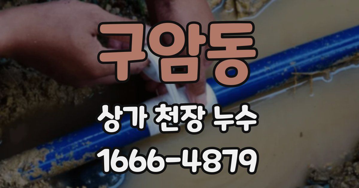 구암동 상가 천장 누수