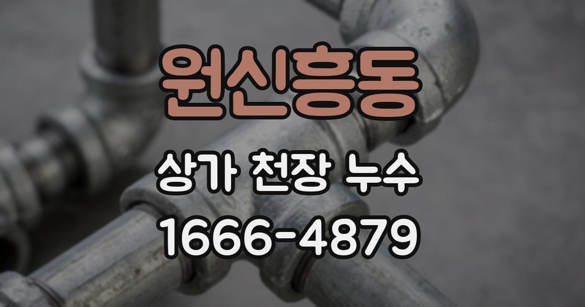 원신흥동 상가 천장 누수