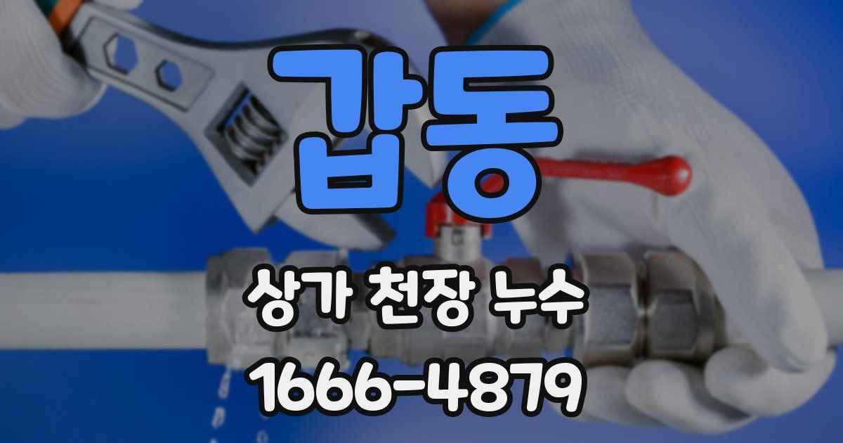 갑동 상가 천장 누수