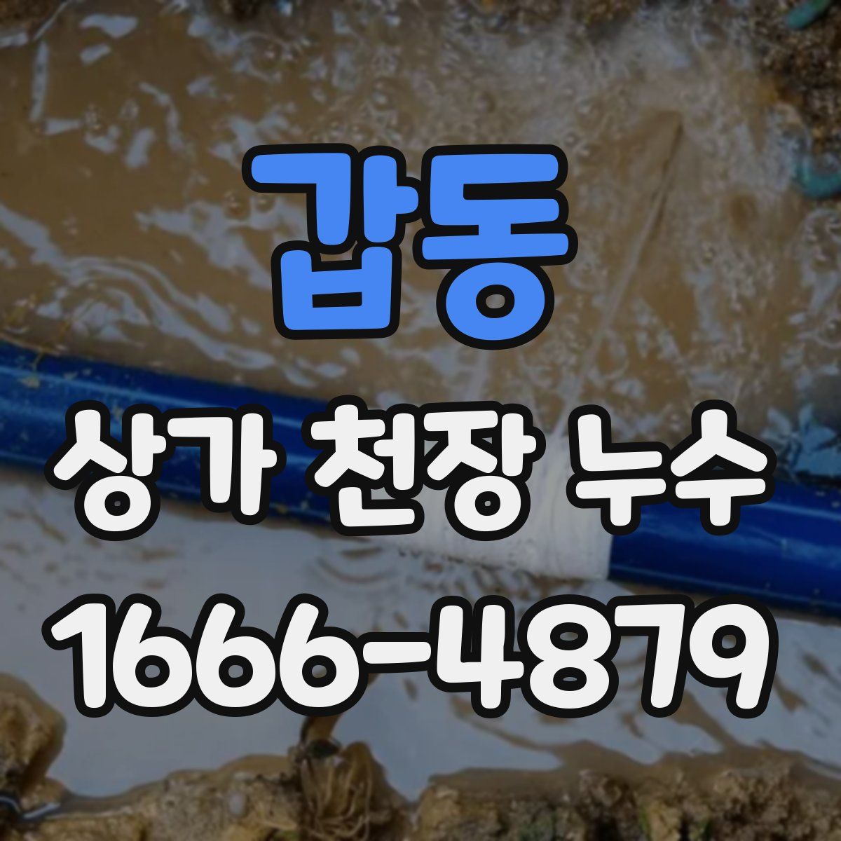 갑동 상가 천장 누수