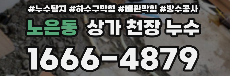 노은동 상가 천장 누수