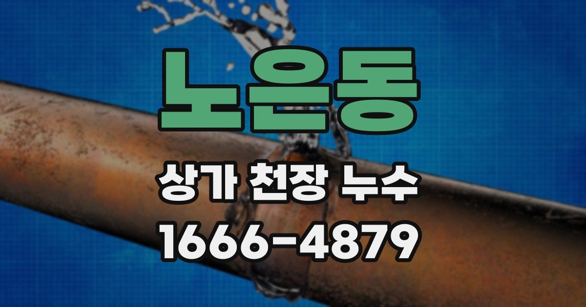 노은동 상가 천장 누수