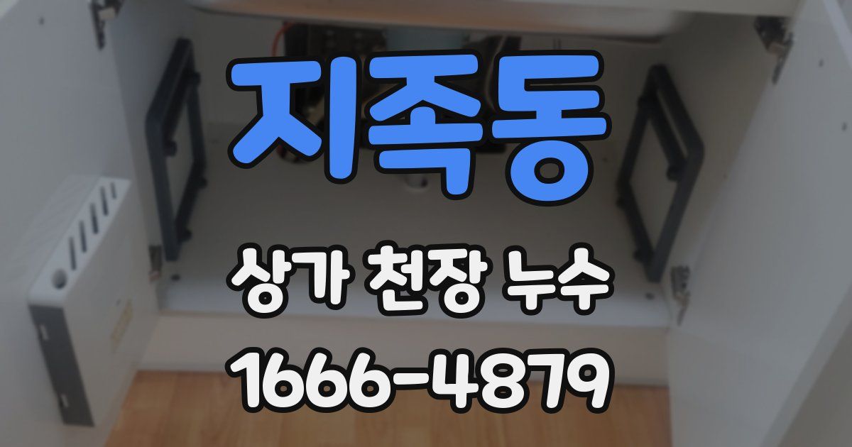 지족동 상가 천장 누수
