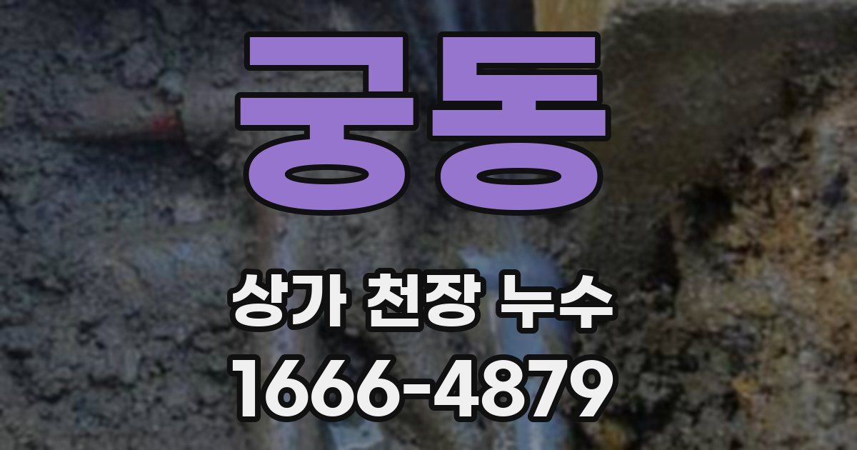 궁동 상가 천장 누수