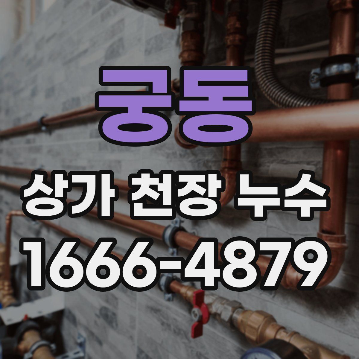 궁동 상가 천장 누수