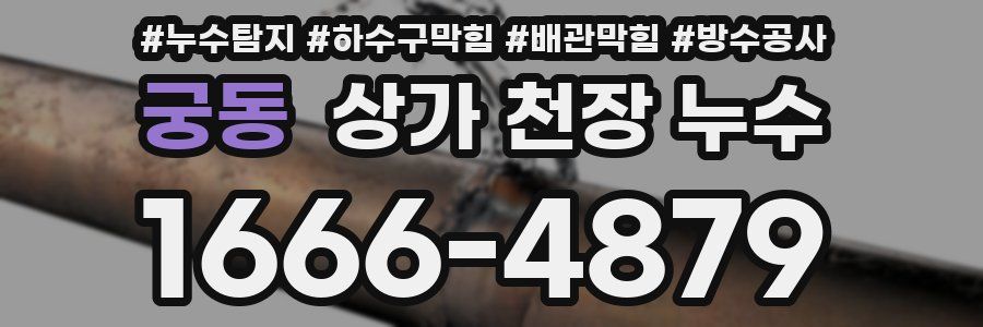 궁동 상가 천장 누수
