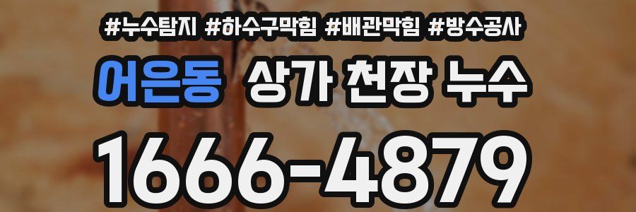 어은동 상가 천장 누수