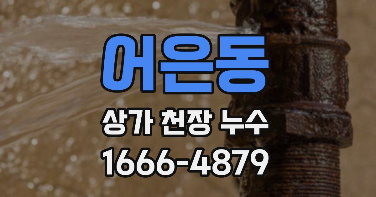 어은동 상가 천장 누수
