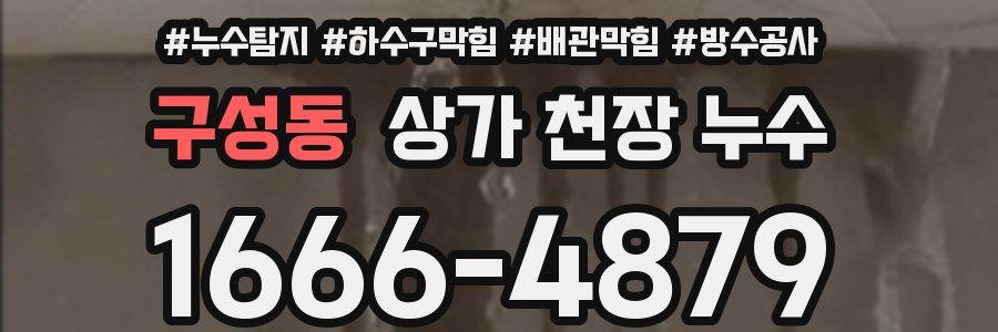 구성동 상가 천장 누수
