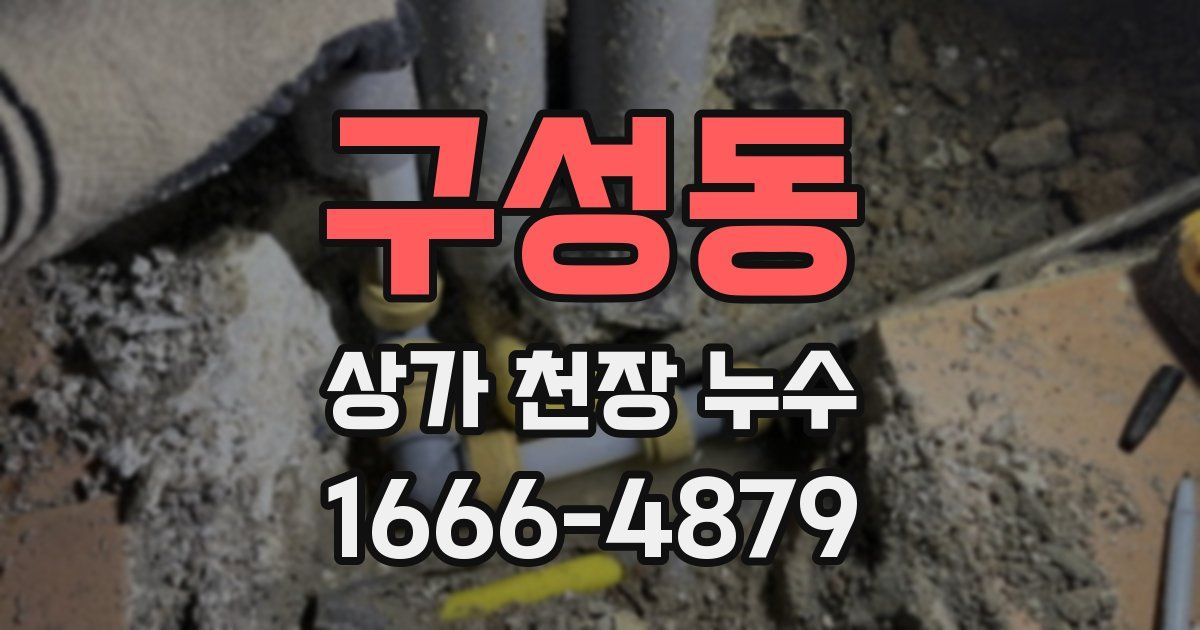 구성동 상가 천장 누수