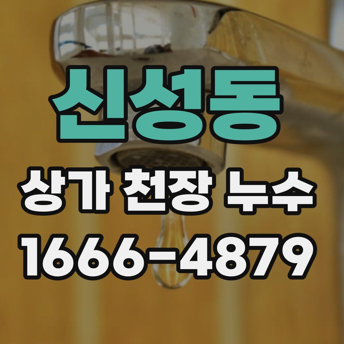 신성동 상가 천장 누수