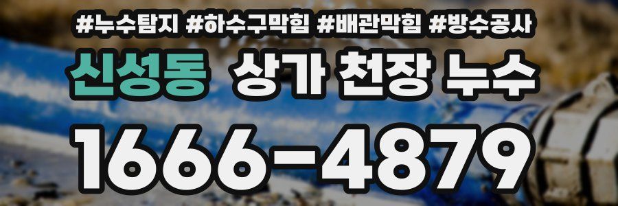 신성동 상가 천장 누수