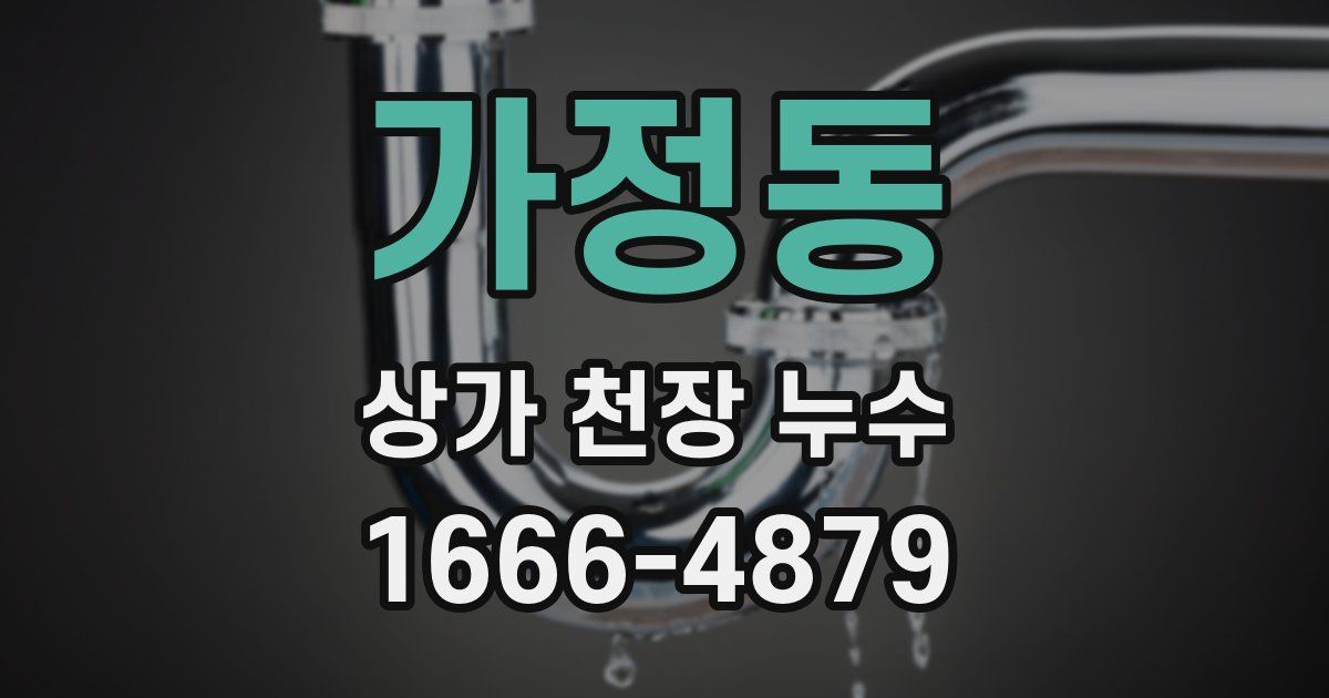 가정동 상가 천장 누수