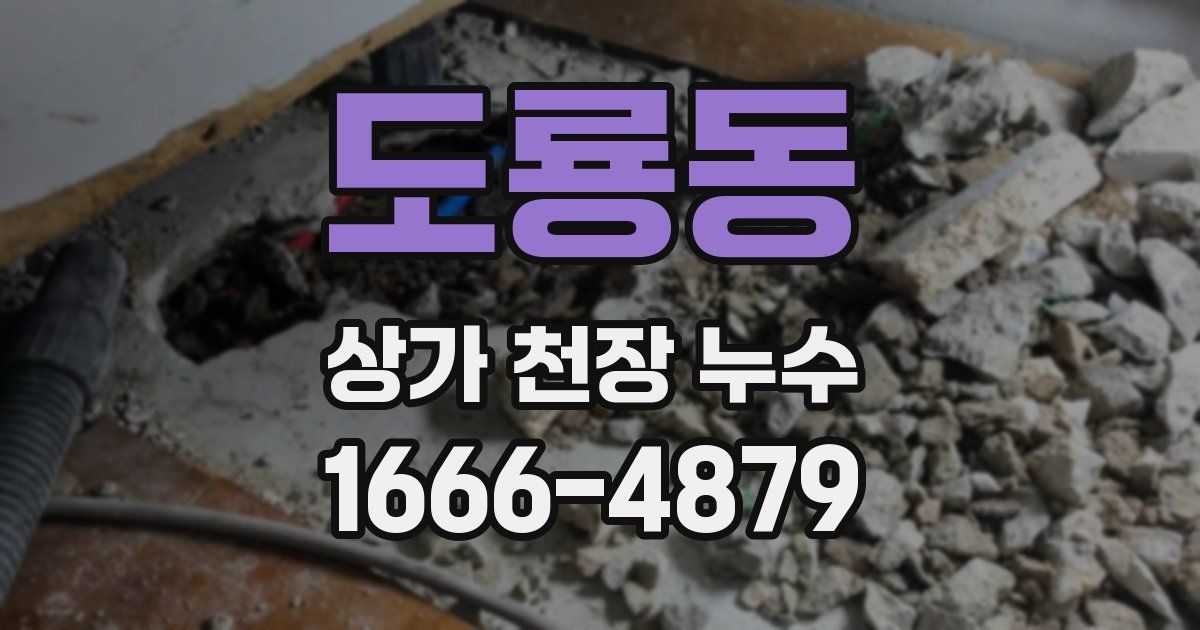 도룡동 상가 천장 누수