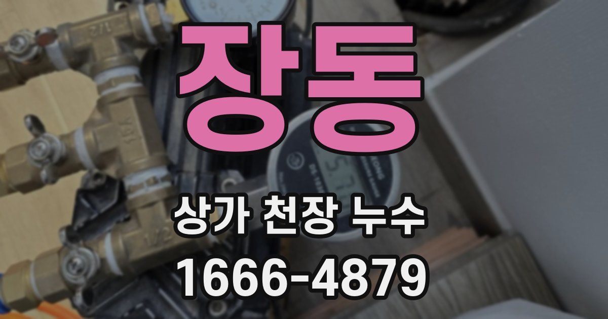 장동 상가 천장 누수