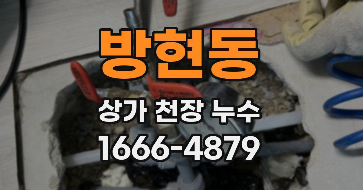 방현동 상가 천장 누수
