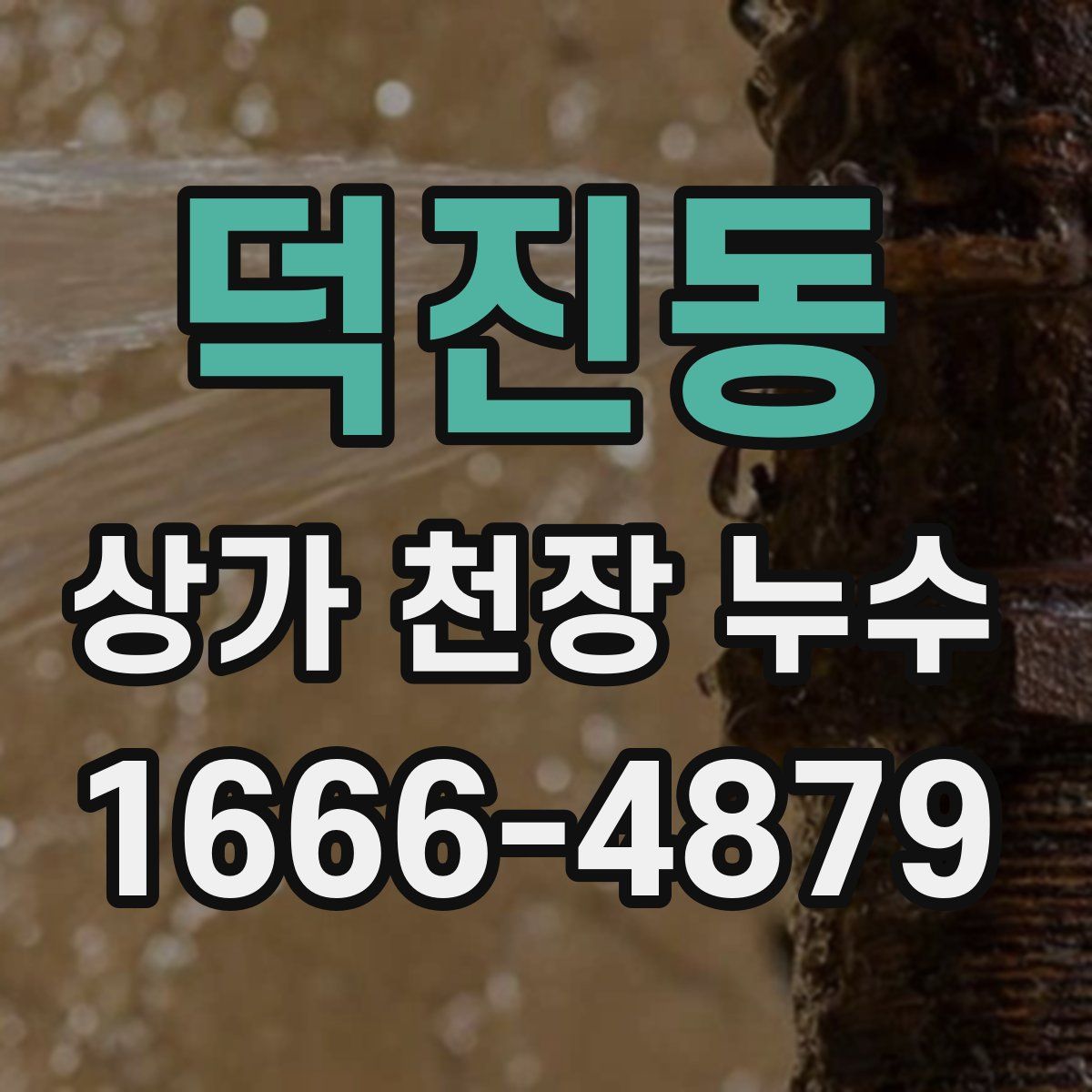 덕진동 상가 천장 누수