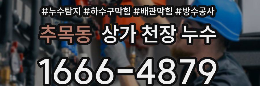 추목동 상가 천장 누수