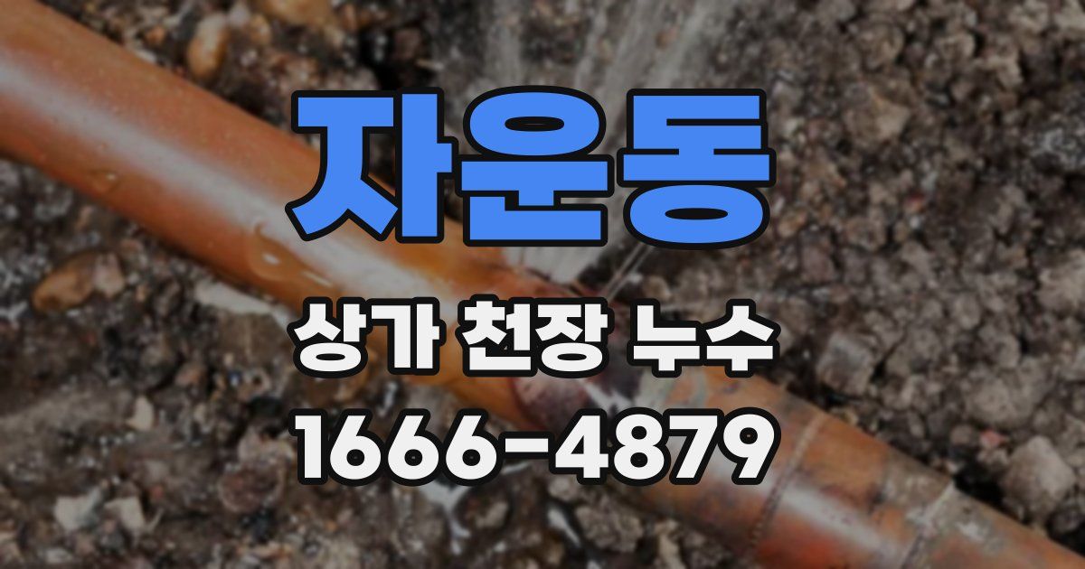 자운동 상가 천장 누수