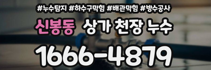 신봉동 상가 천장 누수