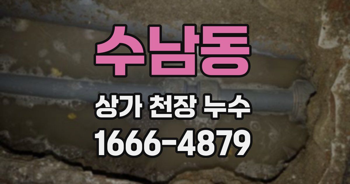 수남동 상가 천장 누수