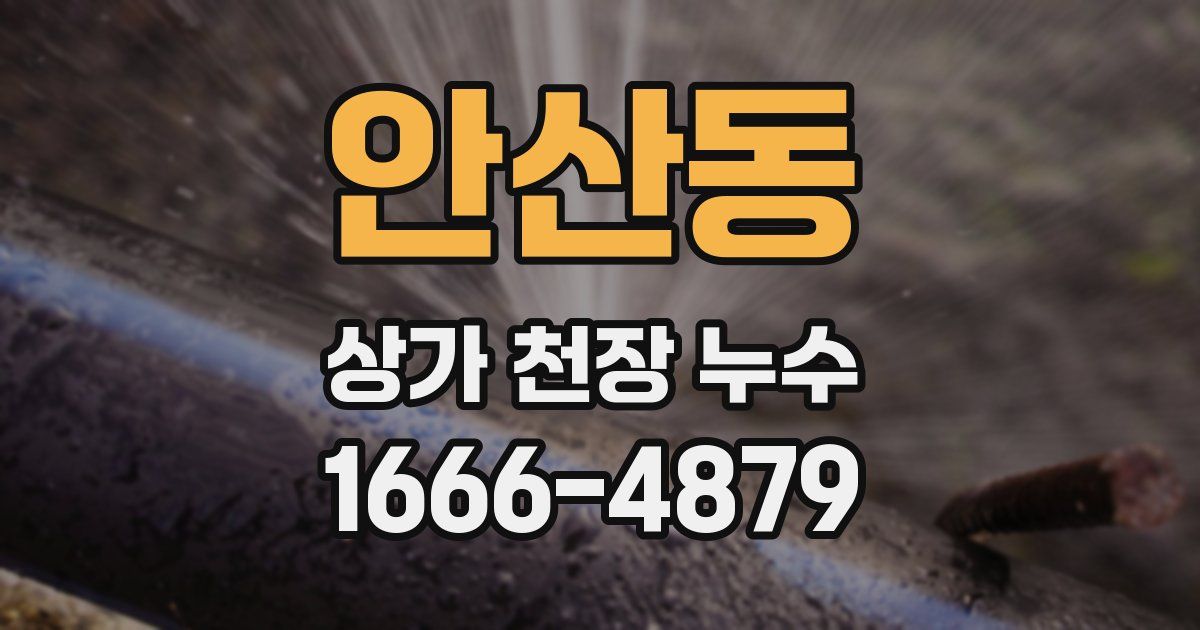 안산동 상가 천장 누수