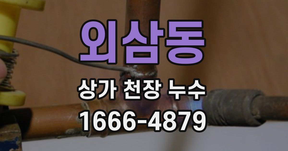외삼동 상가 천장 누수