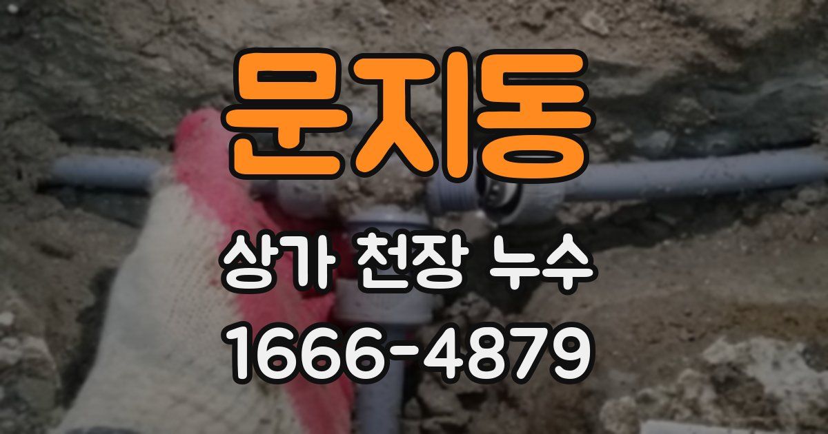 문지동 상가 천장 누수
