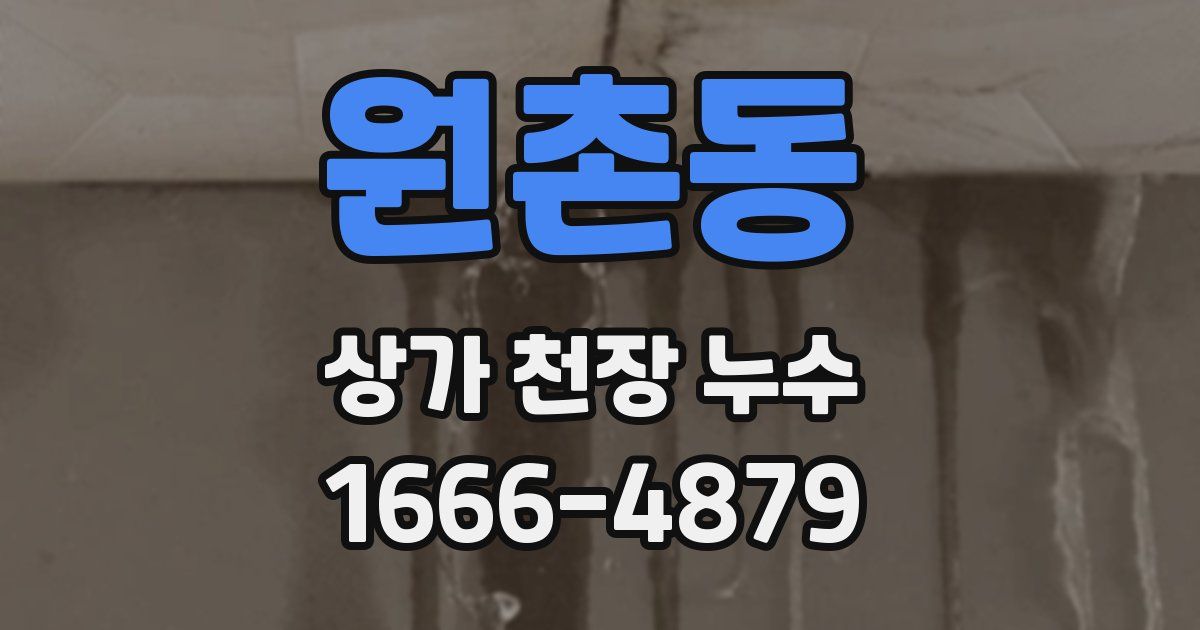 원촌동 상가 천장 누수