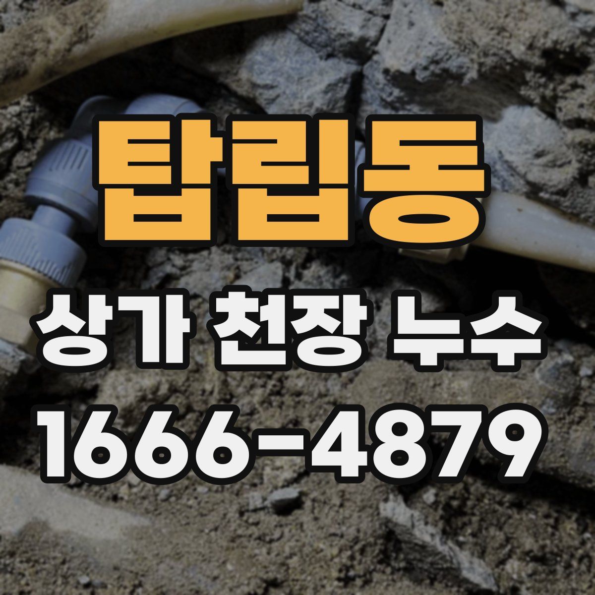 탑립동 상가 천장 누수