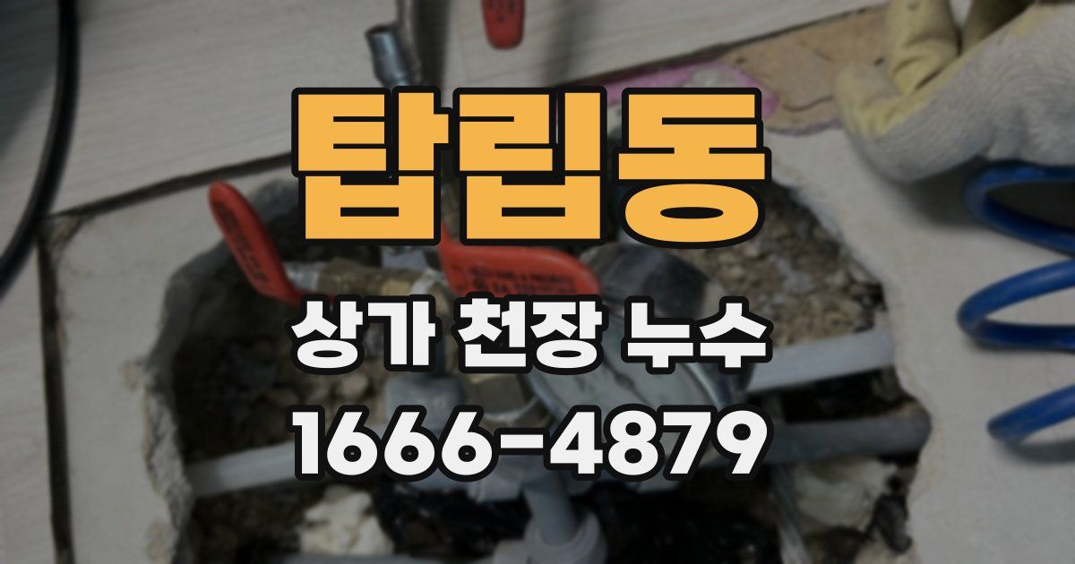 탑립동 상가 천장 누수