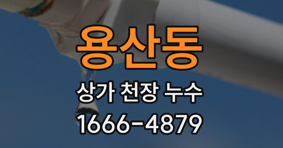 용산동 상가 천장 누수