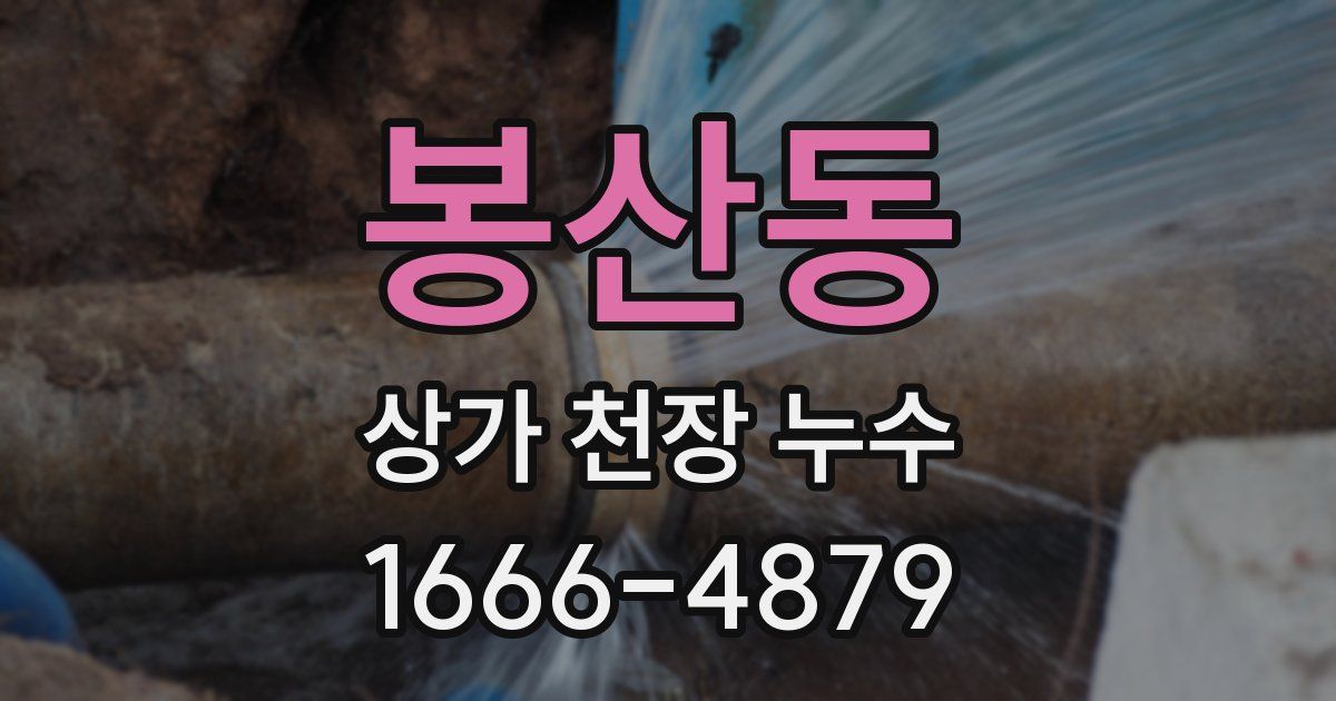 봉산동 상가 천장 누수