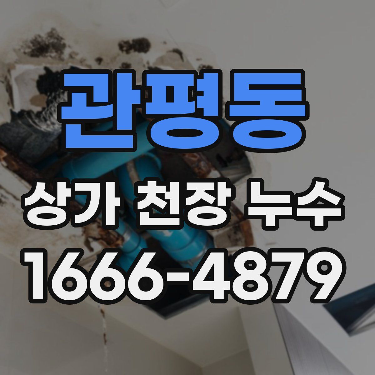 관평동 상가 천장 누수