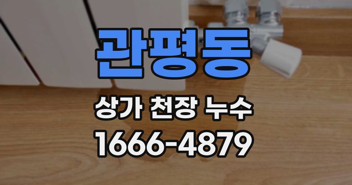 관평동 상가 천장 누수
