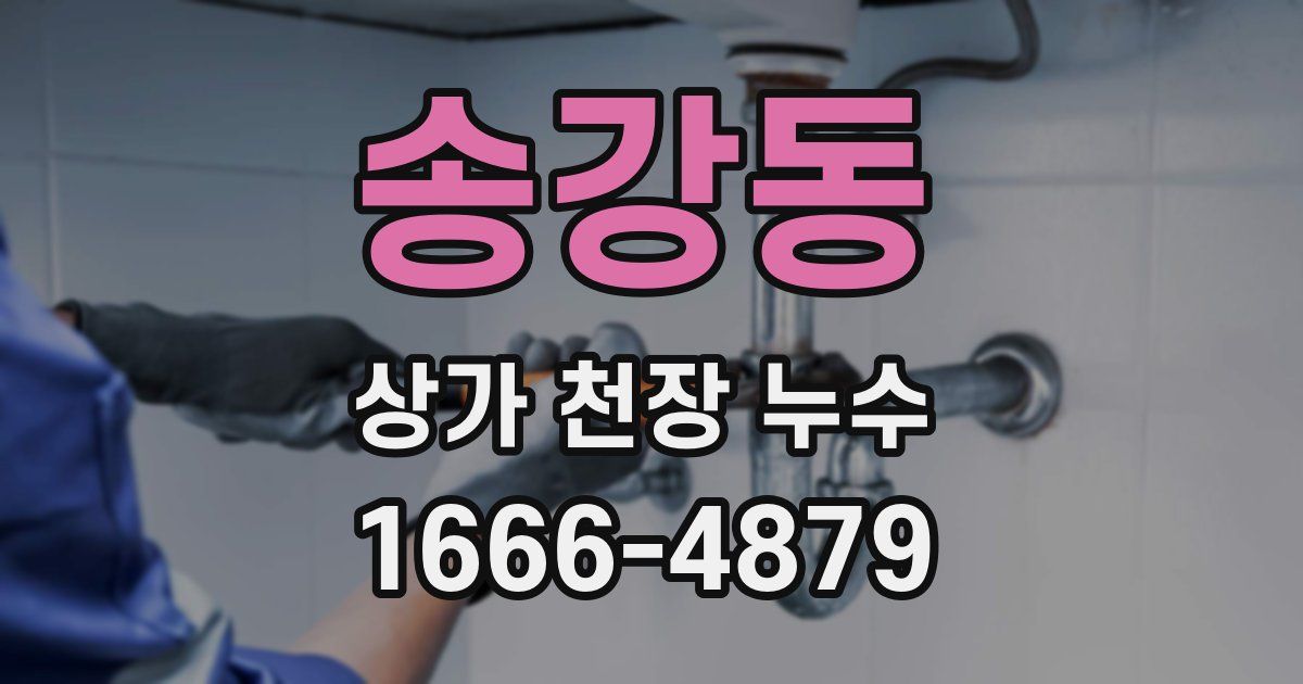 송강동 상가 천장 누수