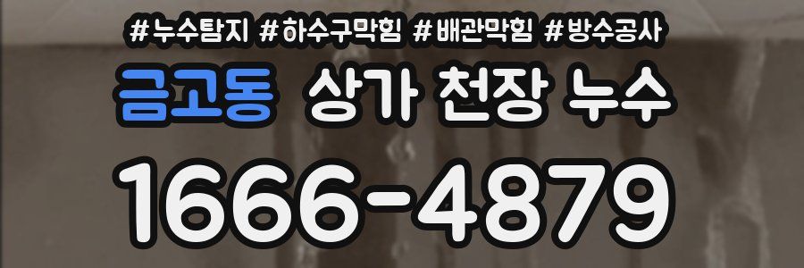 금고동 상가 천장 누수