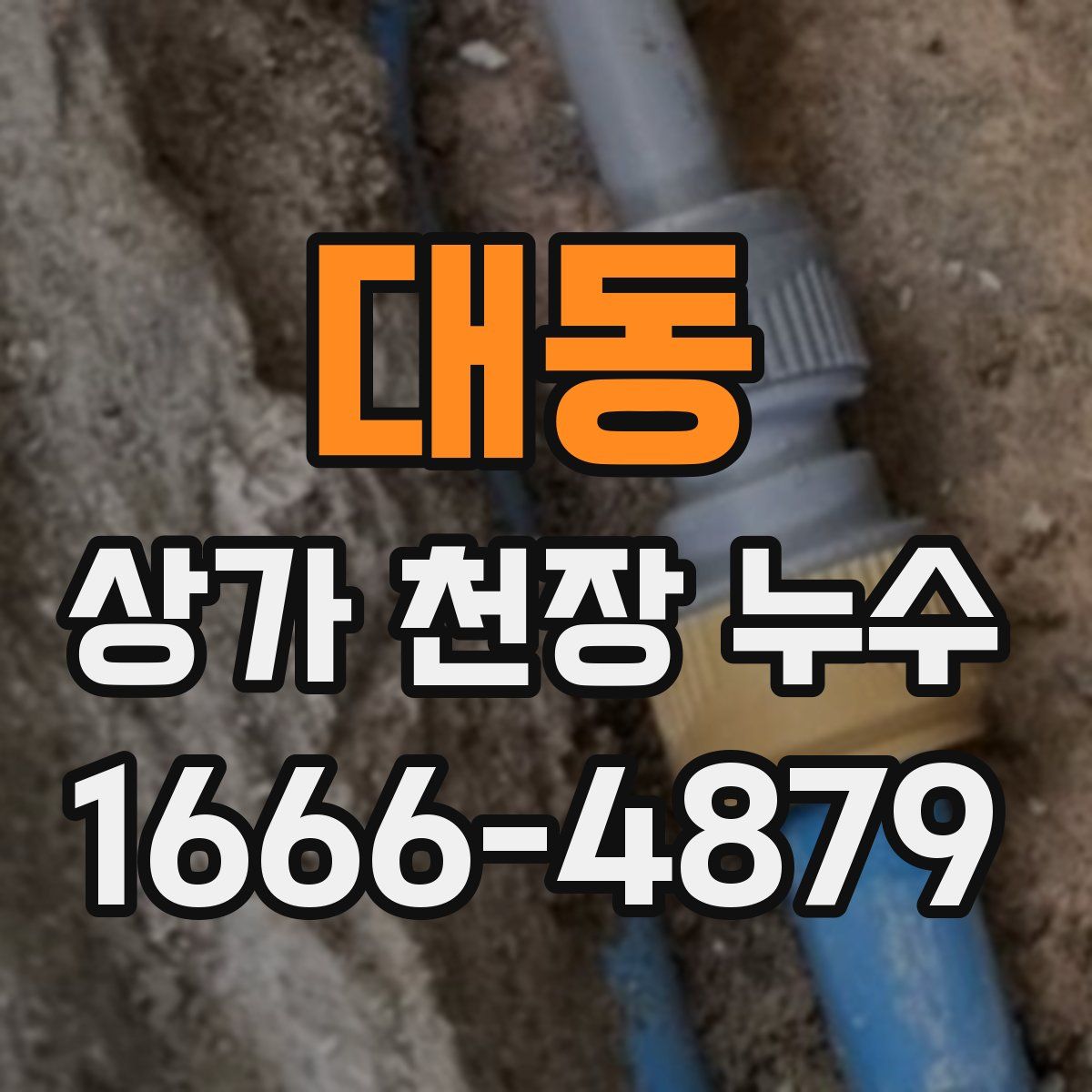 대동 상가 천장 누수