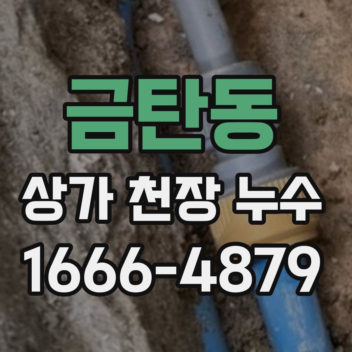 금탄동 상가 천장 누수