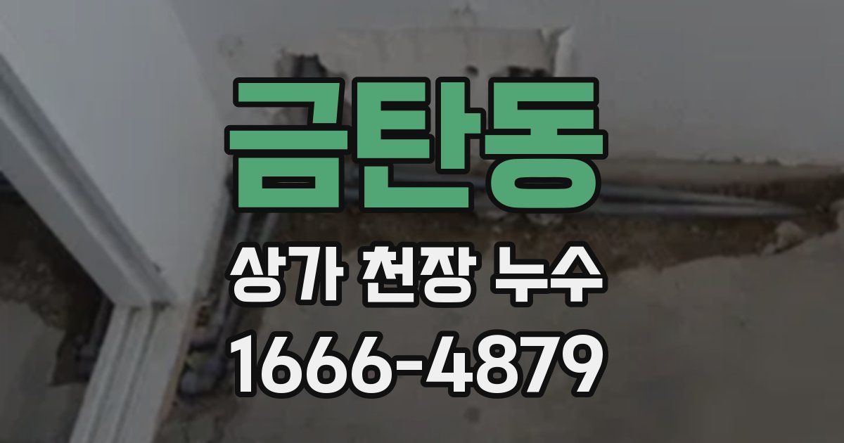 금탄동 상가 천장 누수