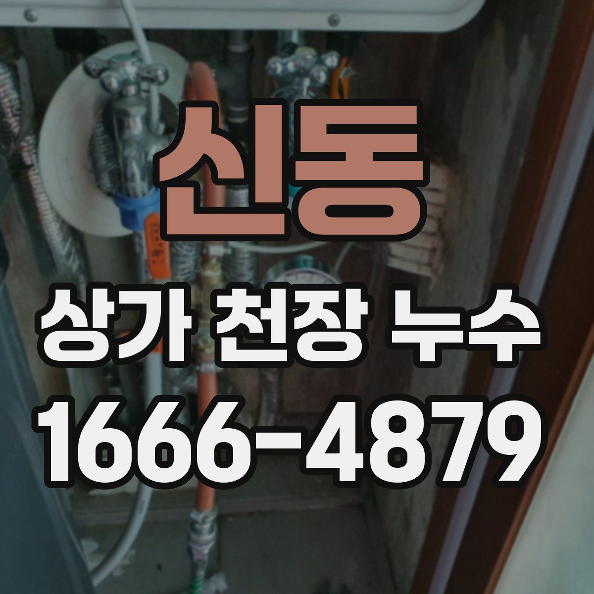 신동 상가 천장 누수