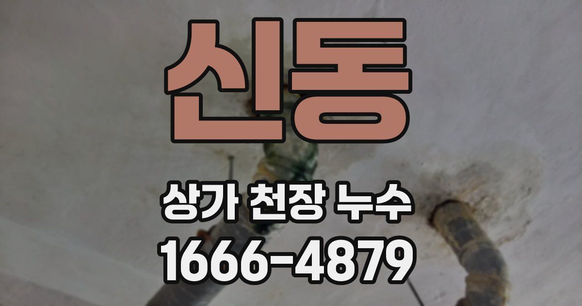 신동 상가 천장 누수