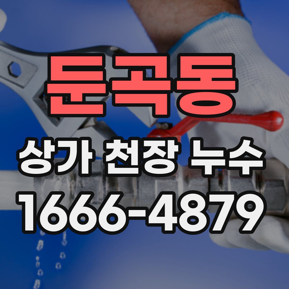 둔곡동 상가 천장 누수