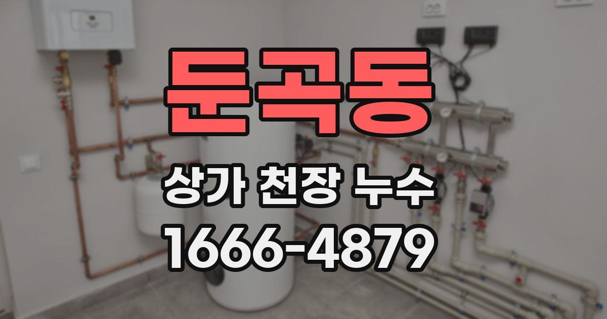 둔곡동 상가 천장 누수